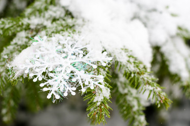 Similar image 8505965