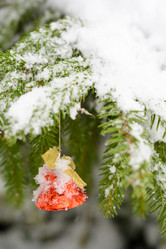 Similar image 8505966