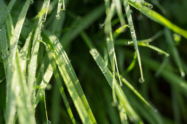 Similar image 8505977