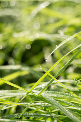 Similar image 8505978