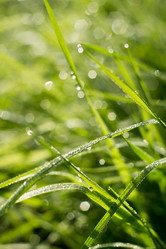 Similar image 8505979