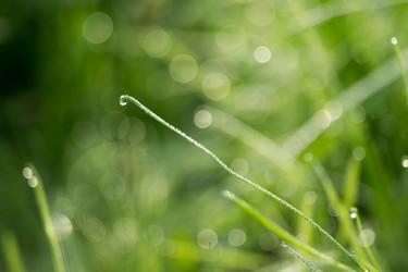 Similar image 8505994