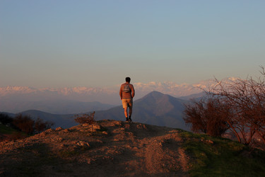 Similar image 8506053