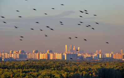 Similar image 8506057