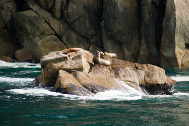 Similar image 8506058