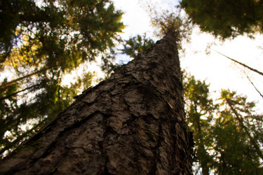 Similar image 8506127