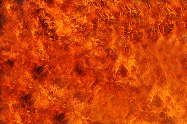 Similar image 8506157