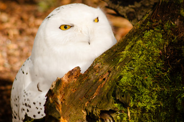 Similar image 8506542