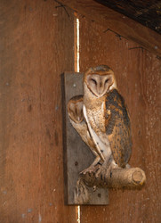 Similar image 8506543