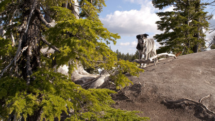 Similar image 8506547