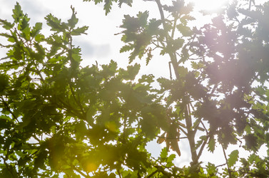 Similar image 8506844