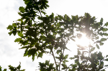 Similar image 8506846