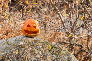 Similar image 8508223