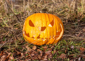 Similar image 8508224