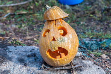 Similar image 8508225