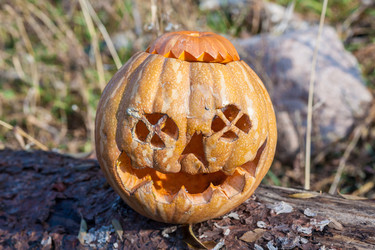 Similar image 8508226