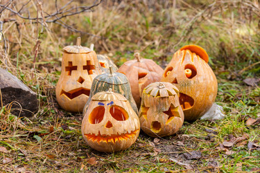 Similar image 8508230