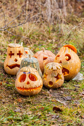 Similar image 8508231