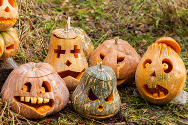 Similar image 8508237