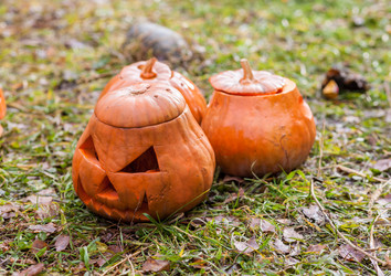 Similar image 8508238