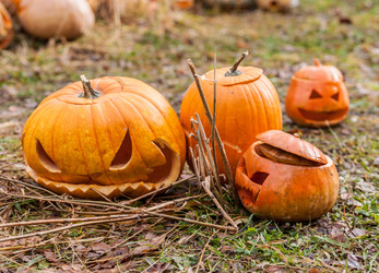 Similar image 8508239