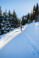 Similar image 8508251