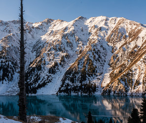 Similar image 8508253