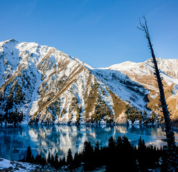 Similar image 8508255