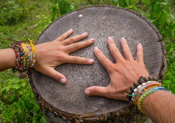 Similar image 8508268