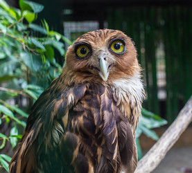 Similar image 8508280