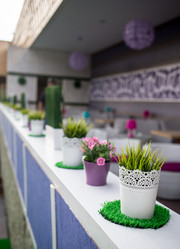 Similar image 8508293