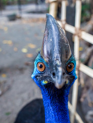 Similar image 8508296