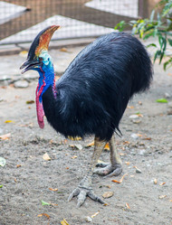 Similar image 8508298