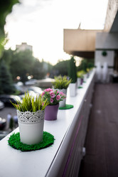 Similar image 8508299