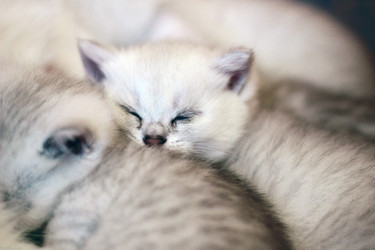 Similar image 8508589