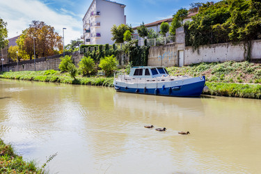 Similar image 8510384