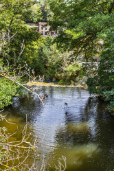 Similar image 8510557