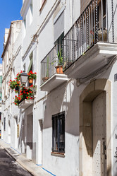 Similar image 8510652