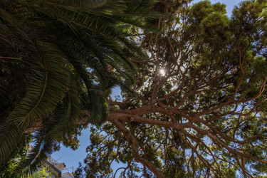 Similar image 8510658