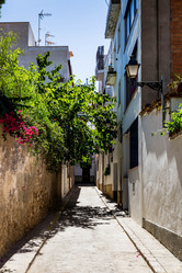 Similar image 8510659