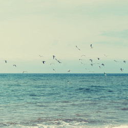 Similar image 8510990