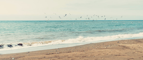 Similar image 8510997