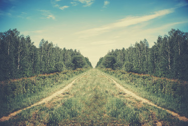 Similar image 8511031