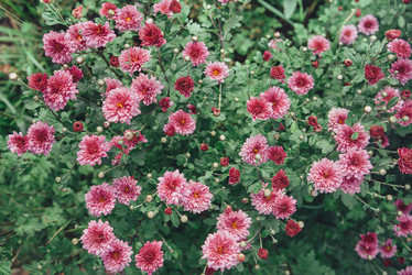 Similar image 8511036