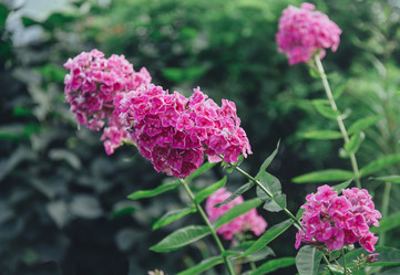 Similar image 8511044