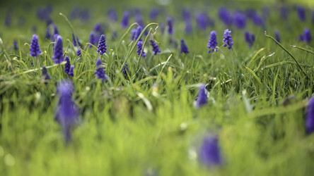 Similar image 8511050