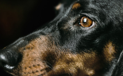 Similar image 8511061