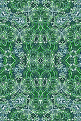 Similar image 8511066