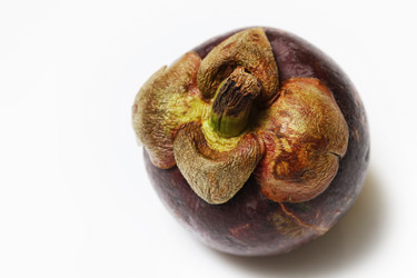 Similar image 8511087