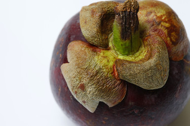 Similar image 8511091